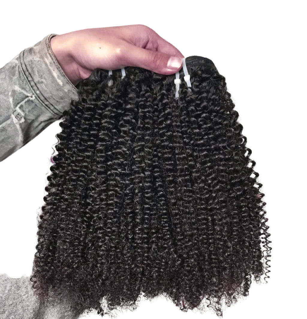 Kinky Curly Seamless Clip Ins