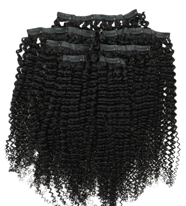 Kinky Curly Seamless Clip Ins